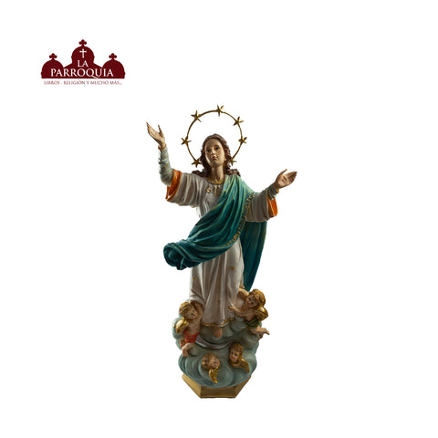 VIRGEN DE LA ASUNCION (Desde)