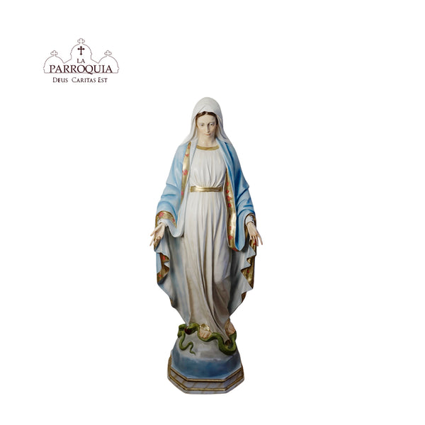 IMÁGENES NUEVA COLECCION (Desde)